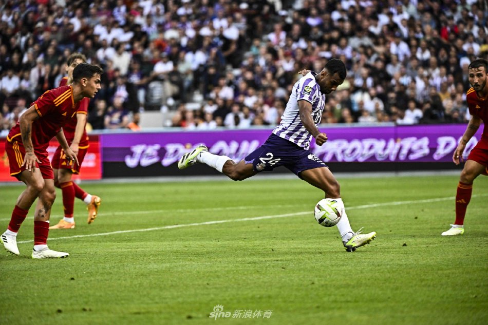 猫因此率先 猫因此率先